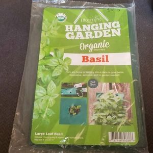 Organic hanging garden basil plant
